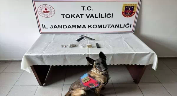 Tokat’ta jandarma aranan 47 kişiyi yakaladı