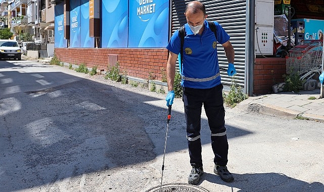 Buca'da Yaz Boyunca Kesintisiz Haşere İlaçlaması