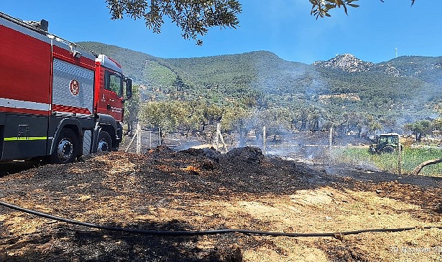 İzmir'de Yangınlar Kontrol Altına Alınıyor!
