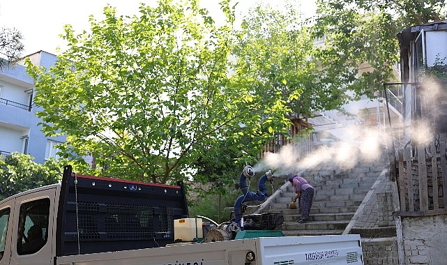 Karabaşlar'da Yaz İlaçlama Programı Başladı!